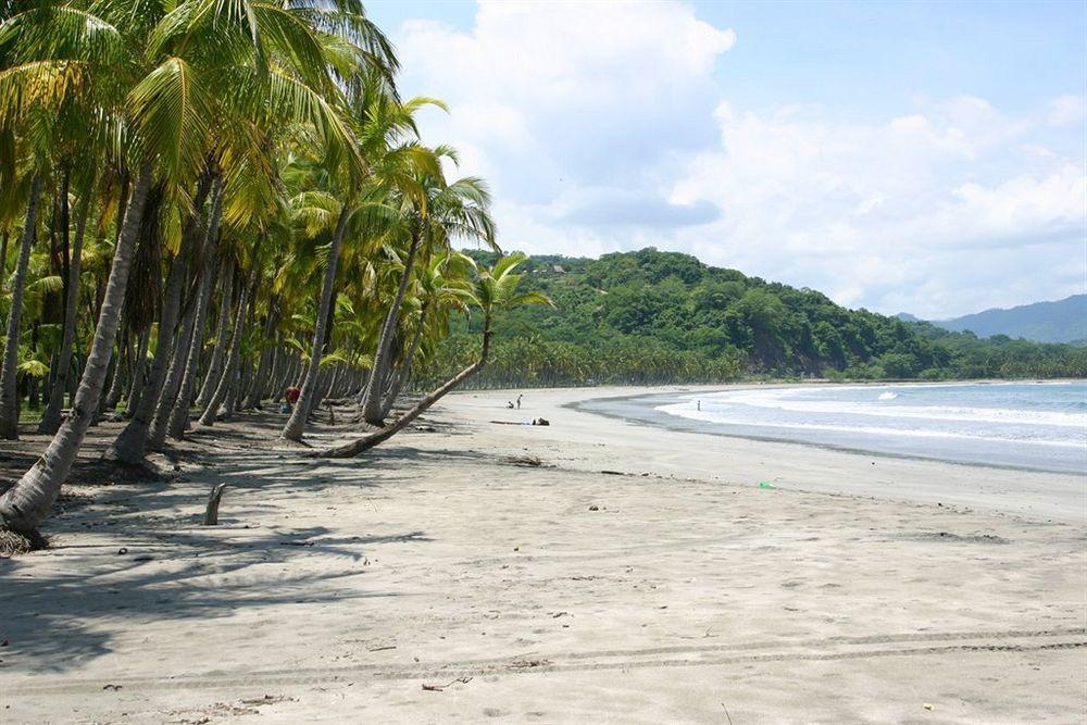 Hotel Villa Teca Manuel Antonio Kültér fotó